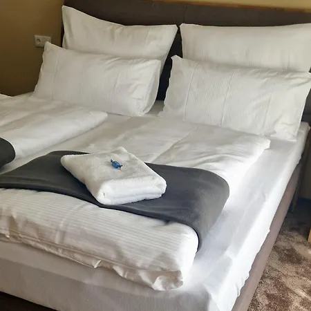 Hotel Rhin