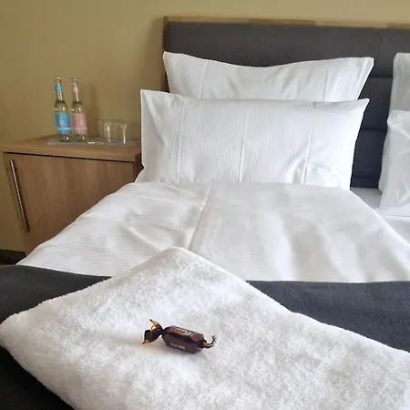 Hotel Rhin *