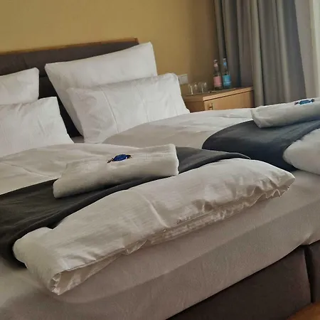 Hotel Rhin *